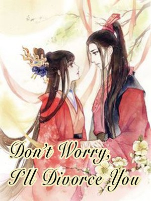 Portada de Don't worry, i'll divorce you
