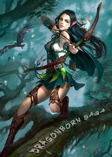 Portada de Dragonborn Saga