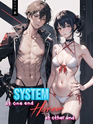 Portada de System at One End and Harem at the Other End