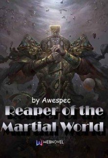 Portada de Reaper of the Martial World